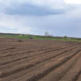 Karczowanie, rekultywacja, wycinka drzew, mulczowanie