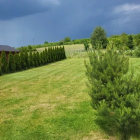 Wypożyczenie traktorka Oleo-mac OM 92R/16 lub koszenie trawy traktorkiem. Koszenie trawników, działek. Częstochowa i okolice. Tel. 720 779 680