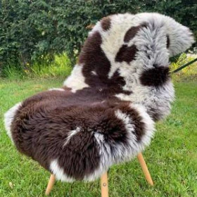 Skóra owcza holenderska i Texel, dekoracja do Twojego domu