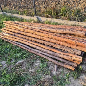 stemple, belki - 240 szt. długość 290-300 cm, 40 szt. długość ok 320cm