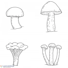 Wektoryzacja i grafika wektorowa, ilustracje w stylu linearnym, proste grafiki